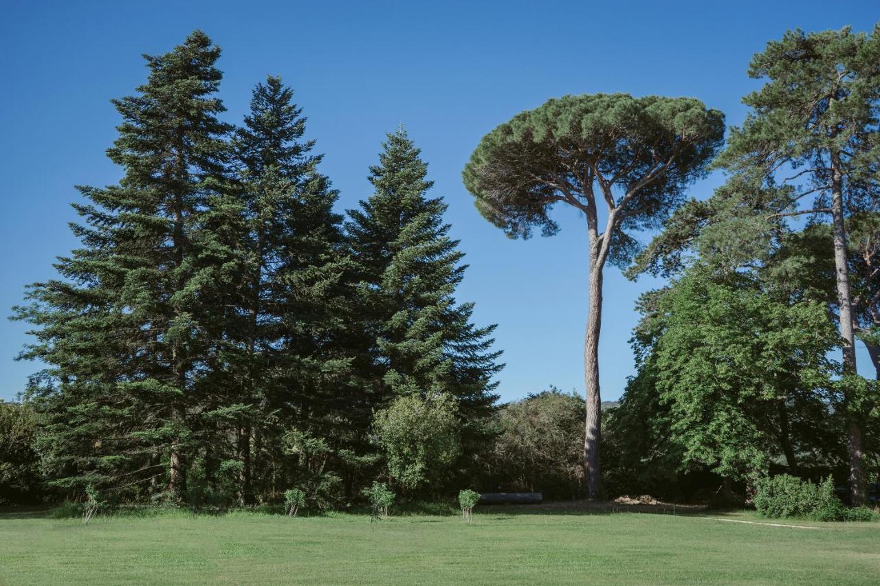 Sabran Chateau De Montcaud מראה חיצוני תמונה